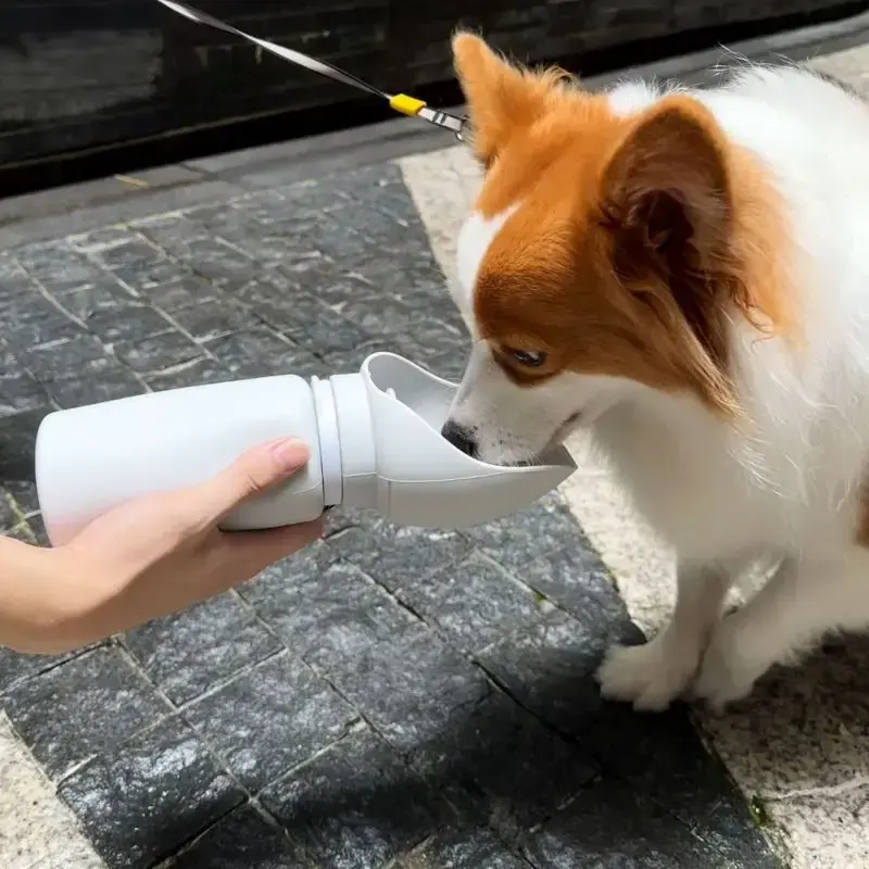 Custom Good Quality Silicone Dog Travel Water Bottle Suppliers3